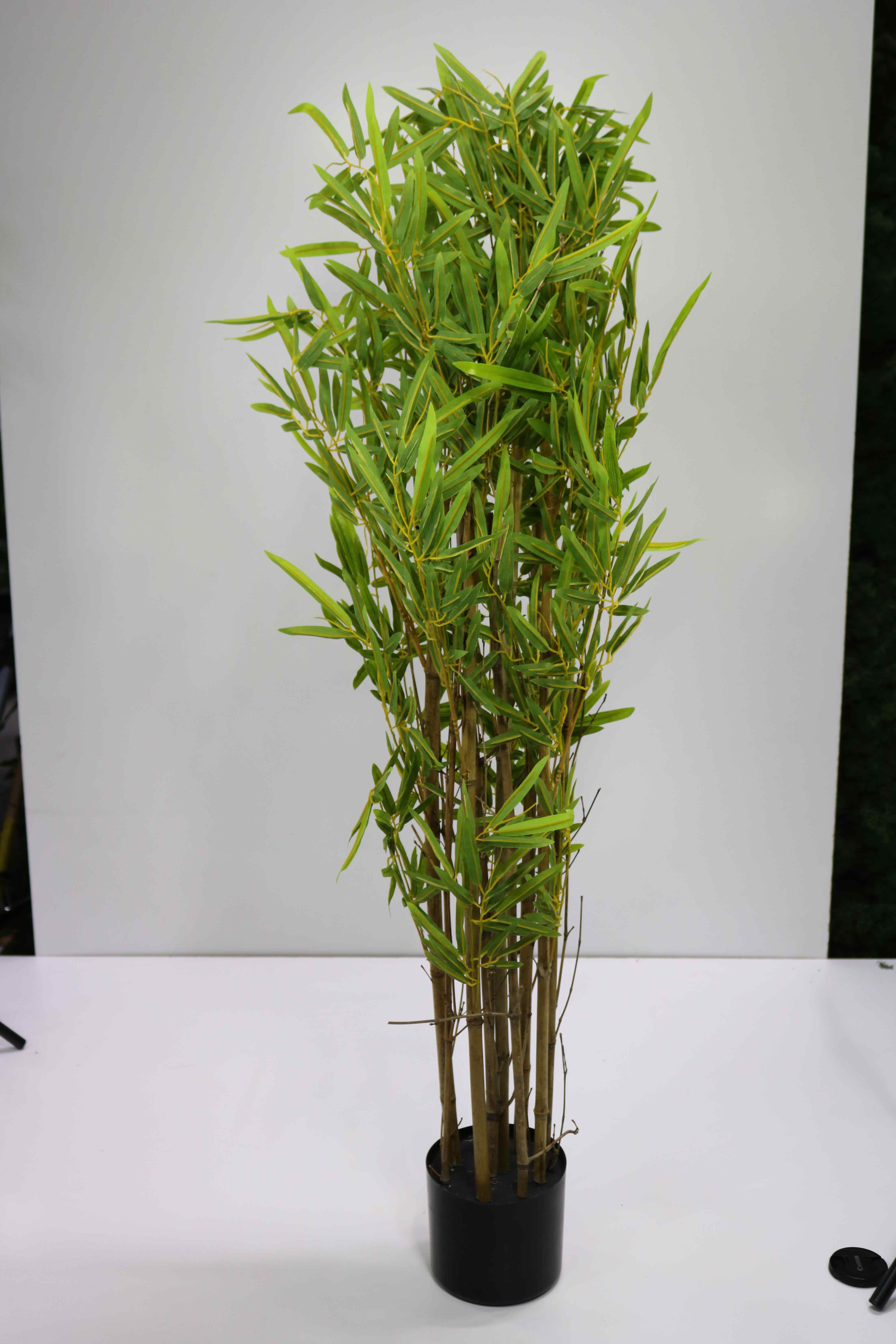 CHINESE BAMBOO 150 CM | Online Artificial Plants